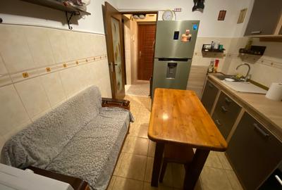 Apartament 1 camera Smirodava - 6