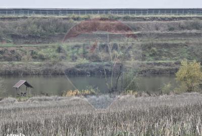 Teren de 129700 mp, în Iepurești - 11