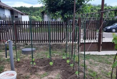 Teren intravilan, casa demolabila in Dumbravesti, Prahova - 3