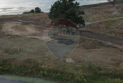 Teren de 5000 mp, în Crevedia