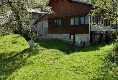 Casă individuală cu 4 camere cu Teren 1991 Mp în Valea Bradului - 5