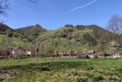 Spațiu comercial, în Râu Sadului