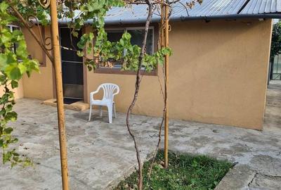 Casă cu 4 camere în Gârbovi - 5