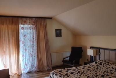 Casa familiala Zadareni ,direct proprietar , 8 km de ARAD - 9