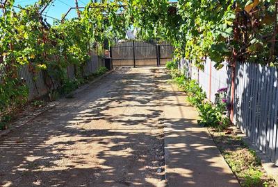 Casă cu 3 camere cu Teren 3360 Mp în Produlești - 10