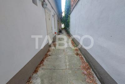 Casa de vanzare individuala pretabila regim hotelier Orasul de Jos - 17