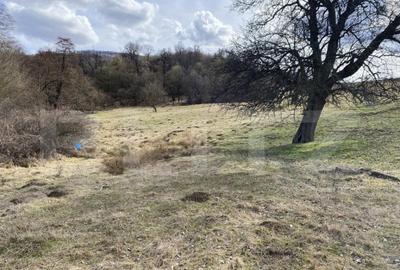 Teren extravilan in suprafata de 7500 mp la poalele Mesesulu - 8