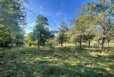 Casa de vanzare, 70 mp , teren de 3000 mp , Cacova Ierii - 7