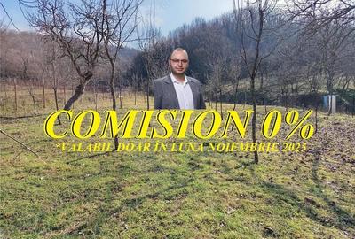 Ciclova, Teren Intravilan, Centru, Pret Negociabil - 1