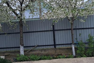 Casă cu Teren 1600 Mp în Burla - 5