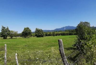 Teren de 9350 mp, în Bran - 3