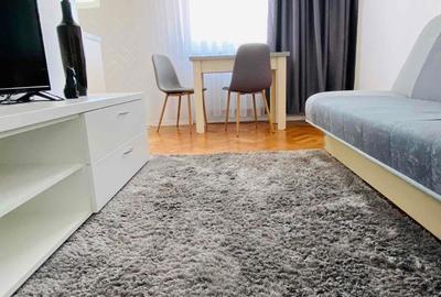 Garsonieră în Tineretului