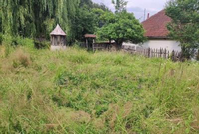 Casă cu 3 camere cu Teren 45000 Mp în Titan