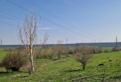 Spațiu comercial, în Central - 12