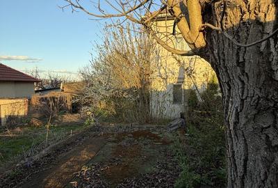 Casă cu 3 camere în Gruia - 3