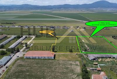 Oportunitate Investitie Cristian | Intravilan | Necesar PUZ | 9.650mp - 2