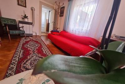 Poveste saseasca la umbra vitei de vie, cu crama si gradina cu flori, Central Co - 17