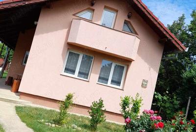 Casa cu mansarda de vanzare - 3