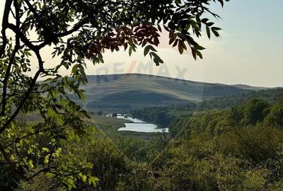 Teren cu parau | 50,000 mp | zona Caianu-Vama | la lizi... - 13