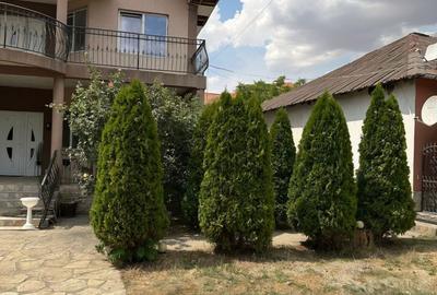 Casă cu 8 camere cu Teren 706 Mp în Cuza Vodă - 4