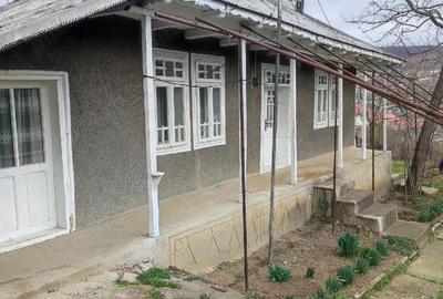 Casă cu Teren 3000 Mp în Moscu - 8