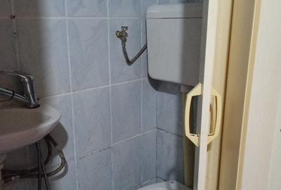 Garsonieră semidecomandată în Nufărul - 3