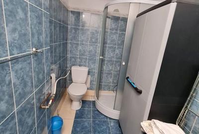 Apartament cu 3 camere decomandat în Terezian - 13