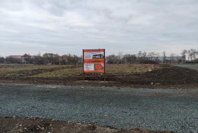 Teren construcție, în Ghiroda - 1