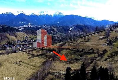 Spațiu comercial, în Moieciu - 4