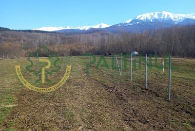 Teren agricol extravilan de 1737 mp, în Racovița - 7
