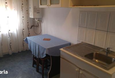 Apartament cu 2 camere semidecomandat în Broșteni - 8