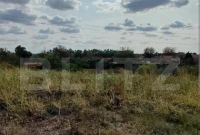 Teren intravilan arabil, 6983, front stradat 30, Lipovei - 2