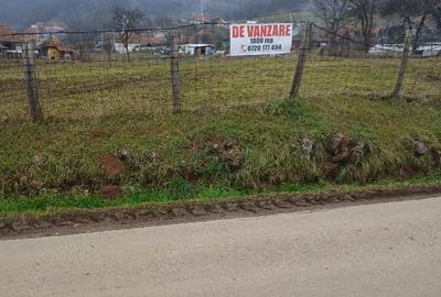 Teren de 1800 mp, în Căinelu de Sus - 4