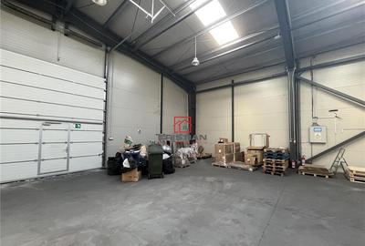 Depozit/hala/spatiu industrisl Jilava - Giurgiului - Progre - 9