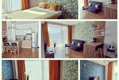 Apartament cu 2 camere semidecomandat în Nord - 1