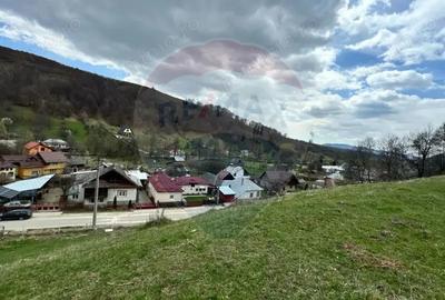 Teren generos, dar ieftin, in Namae?ti - Arge? - 6