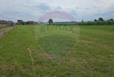 Teren 1,791mp Radauti / Strada Caramidariei - 2