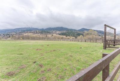 Teren intravilan, 6.900 mp, construibil – Plaiul Foii, Zarnesti - 5