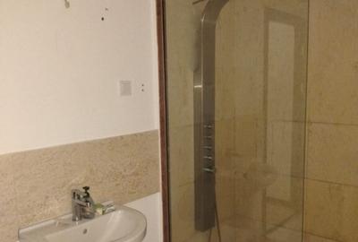 Apartament 3 camere Zona Herastrau - 9