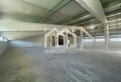 De închiriat: Hală de depozitare și producție în Jucu de Mijloc De închiriat: Hală de depozitare și producție în Jucu de Mijloc - 6