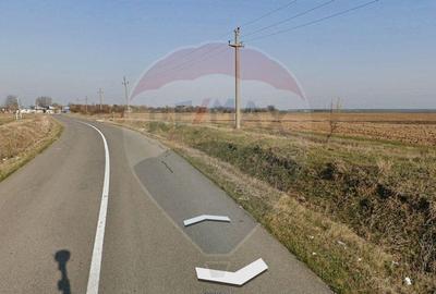 Teren intravilan - 2,5 ha/loc. Vizuresti, Dambovita,desch... - 9