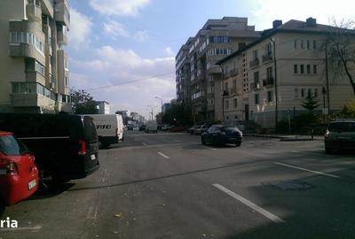 Spațiu comercial, de 23 mp, în Frații Golești - 1