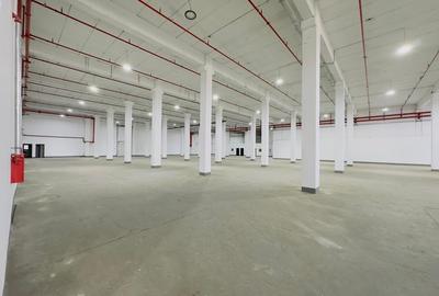 Spatiu depozitare / productie | Militari | Valea Cascadelor | 2500 mp - 2