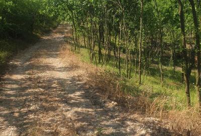 Spațiu comercial, în Valea Unghiului - 6