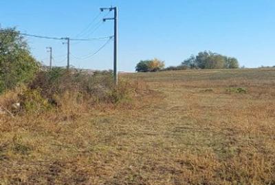 Husi Comuna Padureni - 8,5 hectare teren agricol Husi Comuna Padureni - 8,5 hectare teren agricol - 2