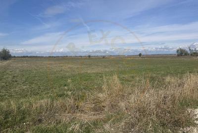 Teren Intravilan com. Ratesti - 4