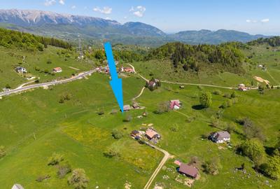 Teren Construcții intravilan de 7656 mp, în Fundata - 11