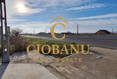 Hala de vanzare in Racarii de Jos - 19