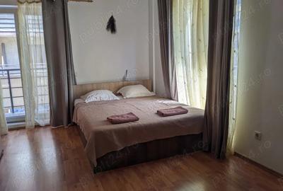 PF inchiriez garsoniera Teodor Mihali nr.31-35 FSEGA & Iulius Mall - 5