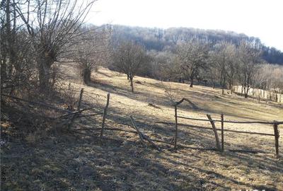 Teren de 12500 mp, în Câmpulung Muscel - 2